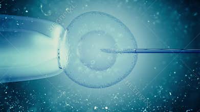 Needle injecting biologic material into cell, DNA experiment. Cell injection in microscope