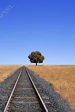 Train Tracks And Horizon