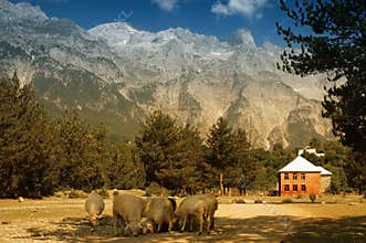 Prokletije mountains, view from Thethi village,
