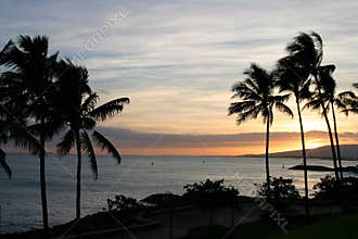 Palm Trees Ocean and Sunset Sky in Hawaii