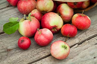 Apples in pottle on wooden background