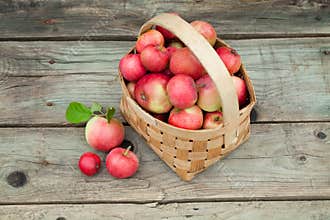 Red Apples in pottle on wooden background