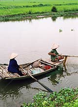 Fishing, Vietnam style