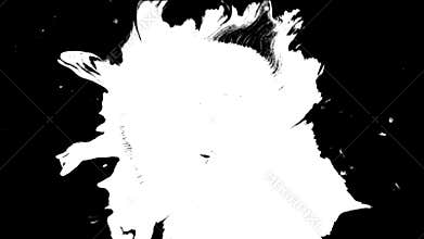 Bloom ink. Beautiful white watercolor ink drops transition on black background,