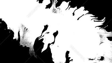 Bloom ink. Beautiful white watercolor ink drops transition on black background,