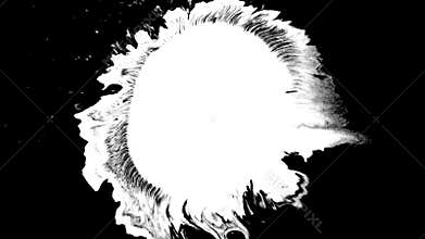 Bloom ink. Beautiful white watercolor ink drops transition on black background,