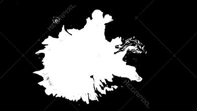 Bloom ink. Beautiful white watercolor ink drops transition on black background,