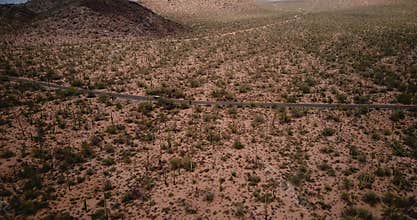 Drone panning left tracking car moving along desert road in giant cactus field scenery in epic Arizona national park USA