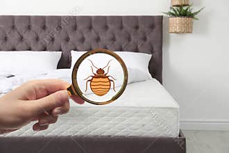 Woman with magnifying glass detecting bed bugs on mattress