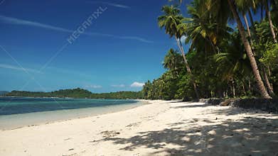 Beautiful tropical beach with coconut palm trees white sand and blue water