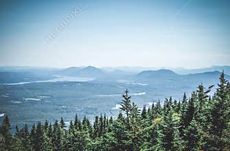 Boreal forest and misty mountains