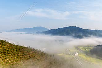 Beautiful wuyuan spring scenery