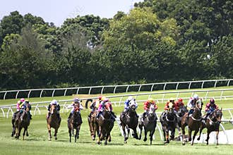 Horse Racing