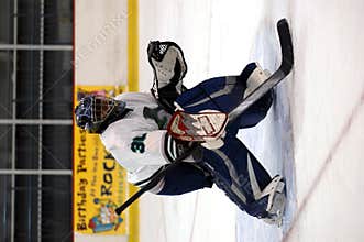 Hockey goalie