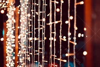 Wedding String Lights