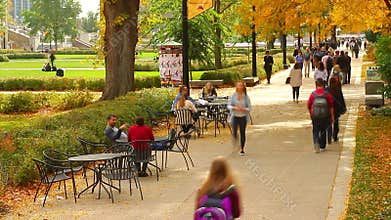 College Students Walking Under a Fall Canopy of Trees on Campus Timelapse