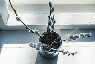 Closeup of natural wild simple tree twigs with cute soft easter decoration spring buds in rustic jar inside windowsill