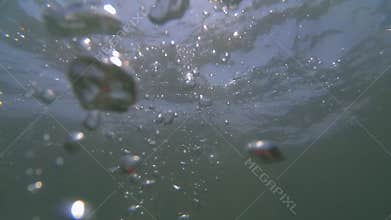 POV of human witch in water dive and emerge.