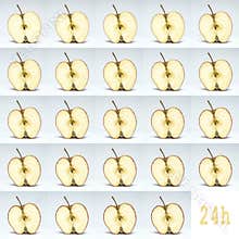 The decay of a fresh apple in 24 hours, aging concept