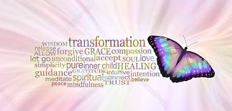 The Butterfly Symbolises Transformation Word Tag Cloud
