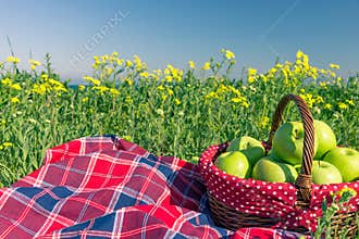 Picnic background with basket and blanket outdoors