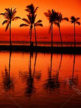 Paradise beach at sunset with tropical palm trees