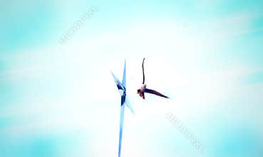 Eagle cross