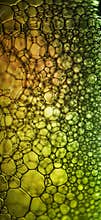 Colourful soap bubbles micro