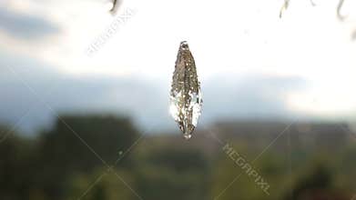 Close-up of the crystal with drops of water.