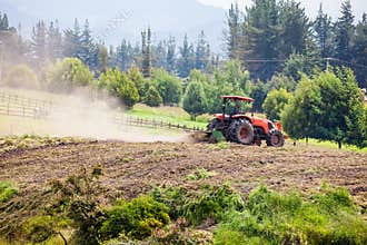 Tractor plowing to sow yellow potato