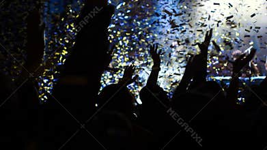 Evening concert. Crowd. White light. Confetti