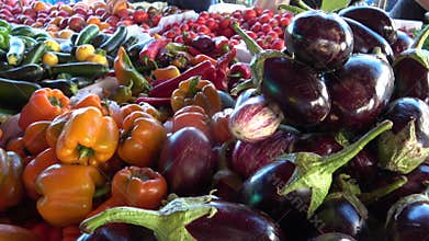 Organic Peppers and Eggplant at Farmer`s Market