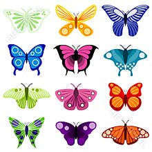 Butterfly set