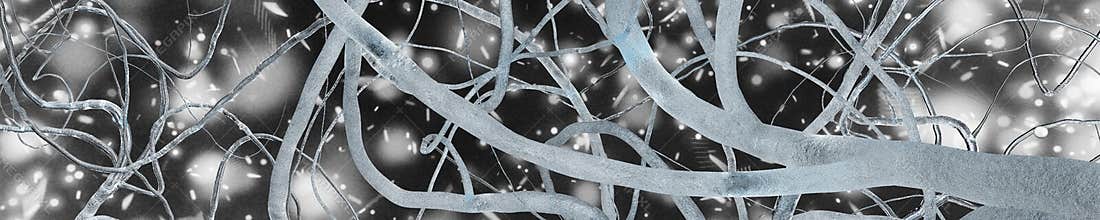 Neuron, neural network, nerve node,