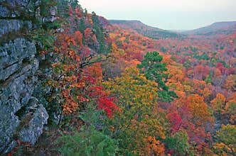 Valley in Autumn Color