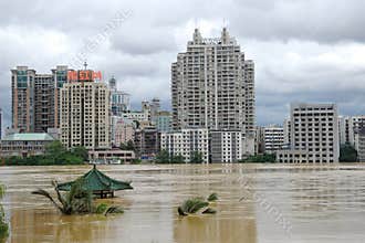 Flood