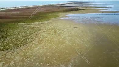 Danube Delta wilderness , Romania