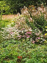 English cottage garden summer border