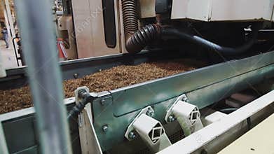 Tobacco drying process, cigarette manufacturing