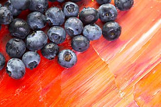 Fresh healthy berries of blueberries on red canvas