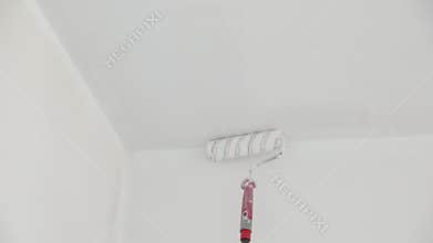 Whitewasher with paint roller