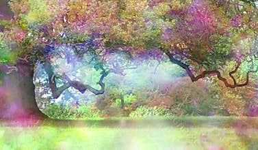 The Fairies Oak Tree