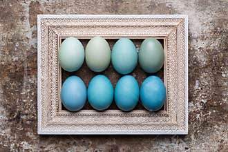 DIY dyed various shades of blue Easter eggs and vintage wooden picture frame mock up.