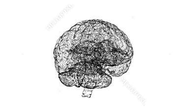 Digital artificial intelligence of the brain from polygons on white background