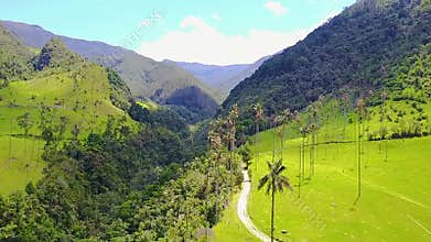 Aerial view of Cocora Valley