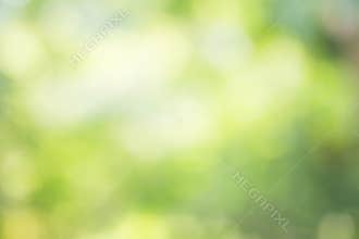 Abstract blur green color for background,blurred and defocused e