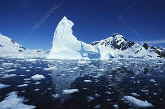 Iceberg