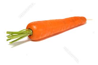 Carrot