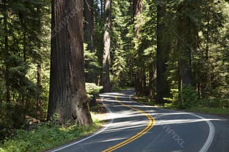 Winding Road