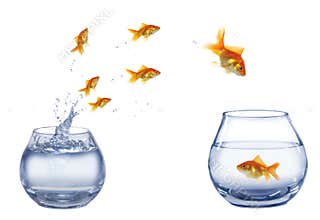 Jump to company